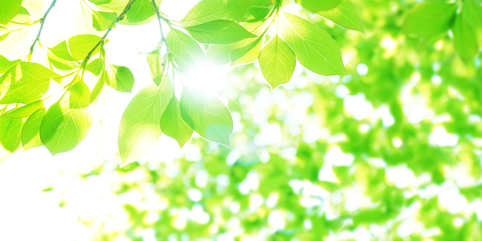 スピリチュアル サロン　あまてるの